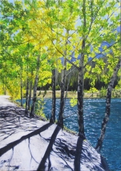 Afternoon Shadows, Quarry Lake SOLD